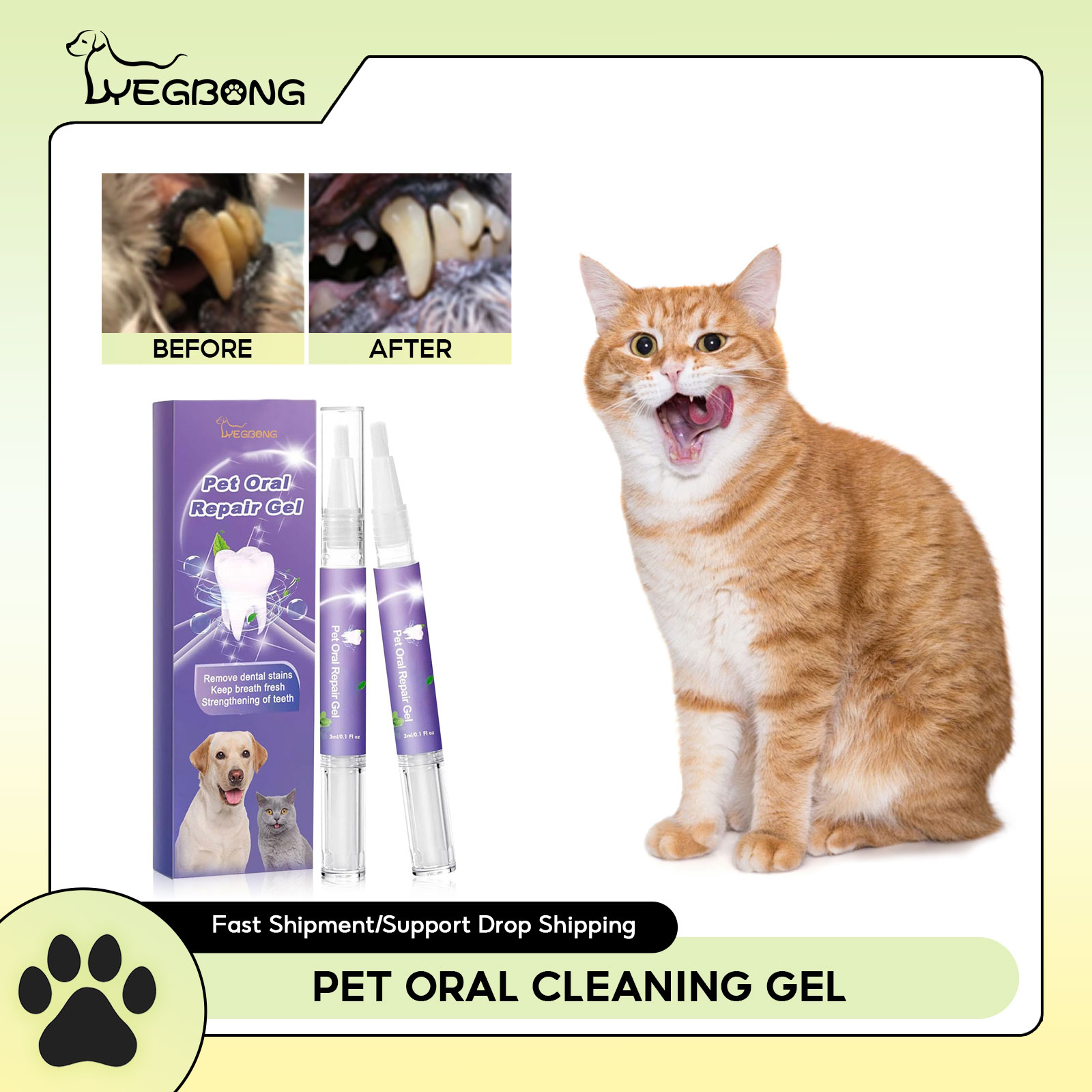 Teeth Whitening Results - Pet Oral Onarım Jeli Yavru Tartar