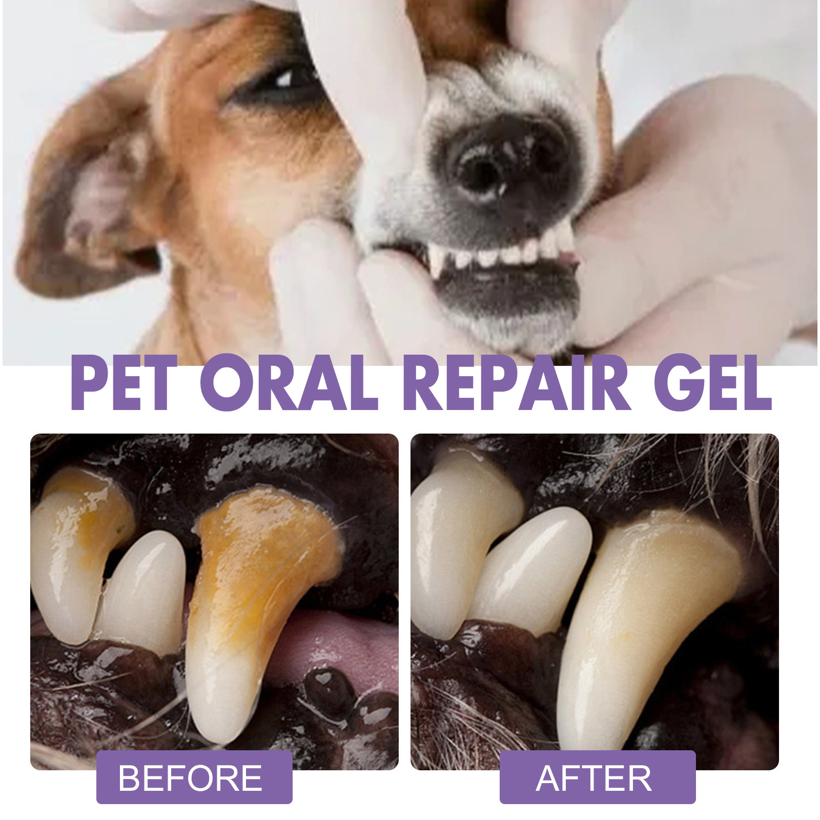 Pet Oral Onarım Jeli Yavru Tar - Teeth Whitening Results incelemesi ve fiyatı