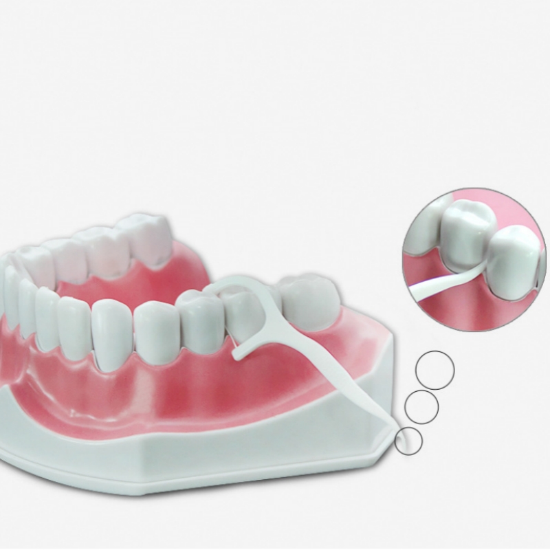 50 adet diş ipi pensesinde seç - Dental Floss Picks incelemesi ve fiyatı
